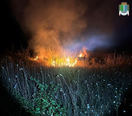 Нічна атака поблизу пункту пропуску “Рені-Джурджулєшти”: що відомо