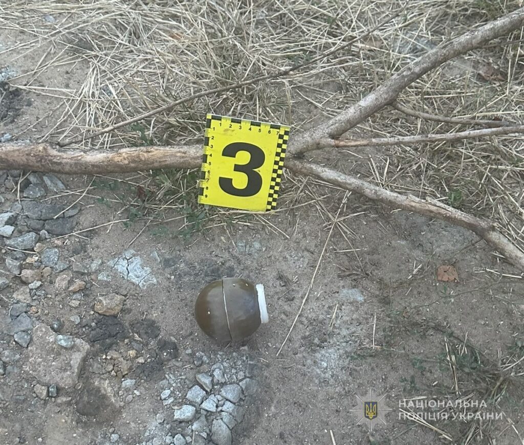 На Одещині п’яна військовослужбовиця у СЗЧ кинула три гранати в сусідський двір