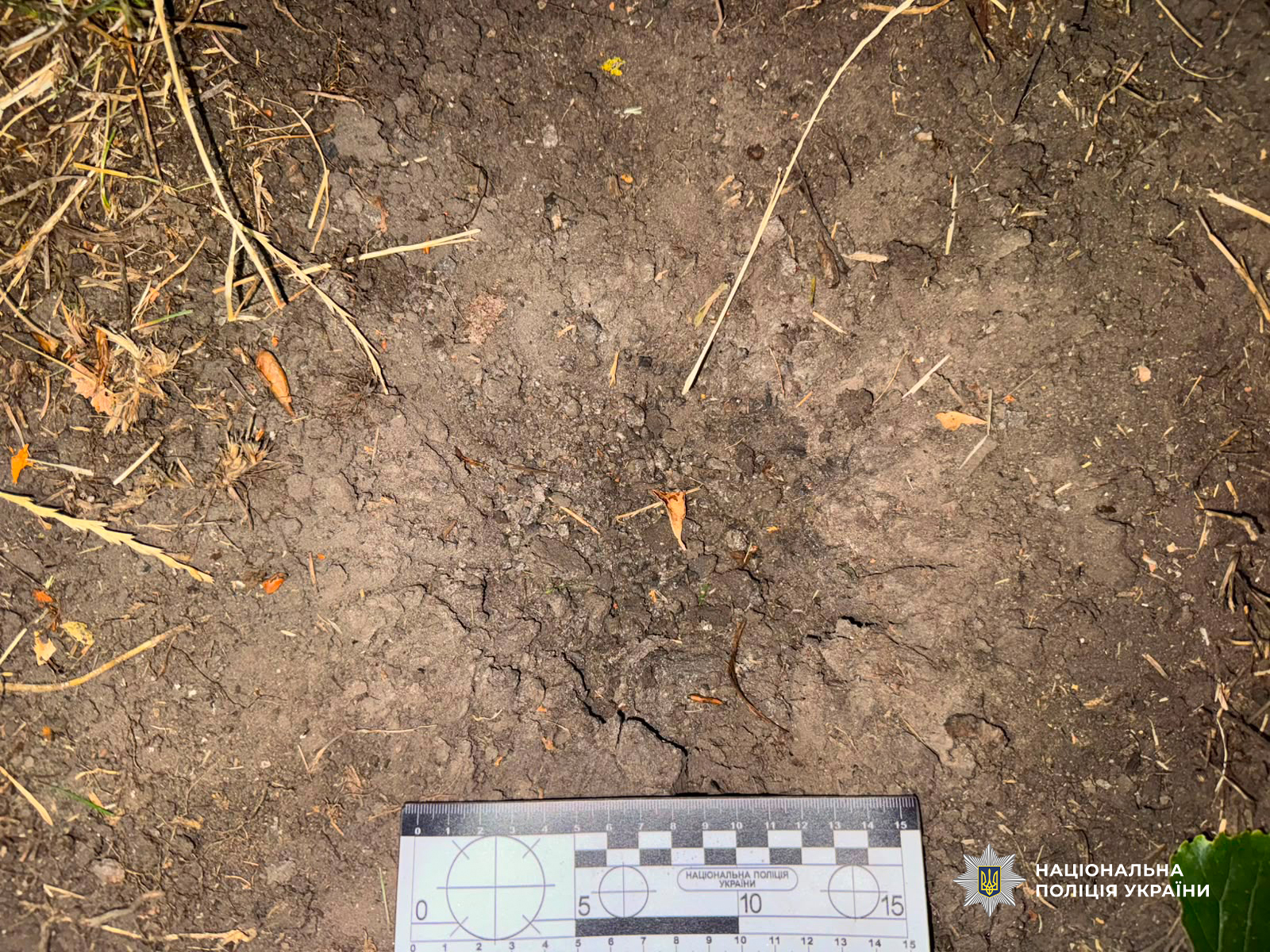 Кинув гранату в бік підлітків біля ліцею: на Одещині суд заарештував нетверезого військового в статусі СЗЧ