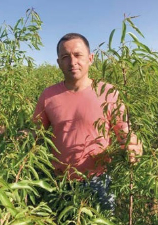 Мигдаль у Бессарабії росте краще, ніж в Іспанії: селекціонер Володимир Балабан розкрив секрети прибуткового бізнесу