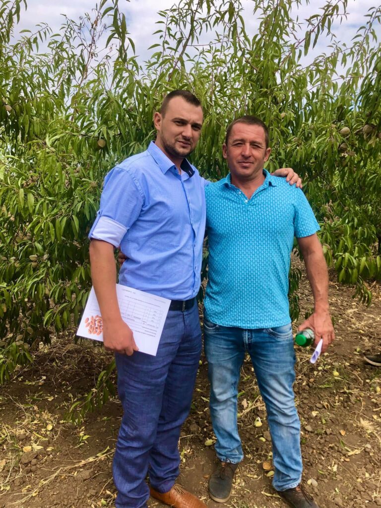 Мигдаль у Бессарабії росте краще, ніж в Іспанії: селекціонер Володимир Балабан розкрив секрети прибуткового бізнесу