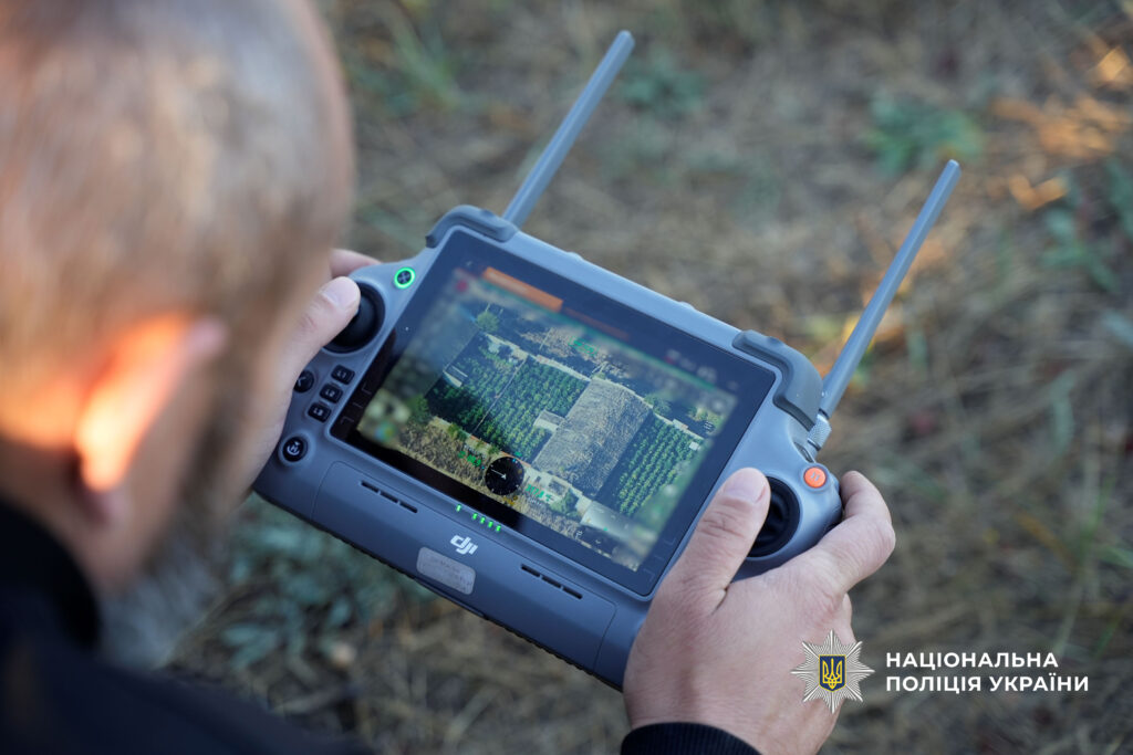 У Болградському районі ліквідували плантацію конопель на 60 мільйонів гривень