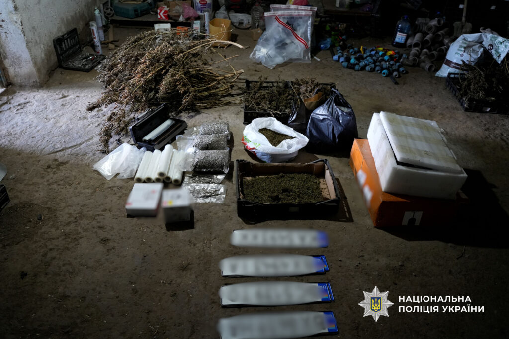 У Болградському районі ліквідували плантацію конопель на 60 мільйонів гривень