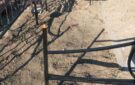 В Одеській області на могилах військових невідомі понівечили державну символіку