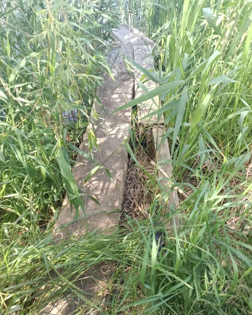 На березі Дністра почали зносити незаконні альтанки, кунги та трейлери