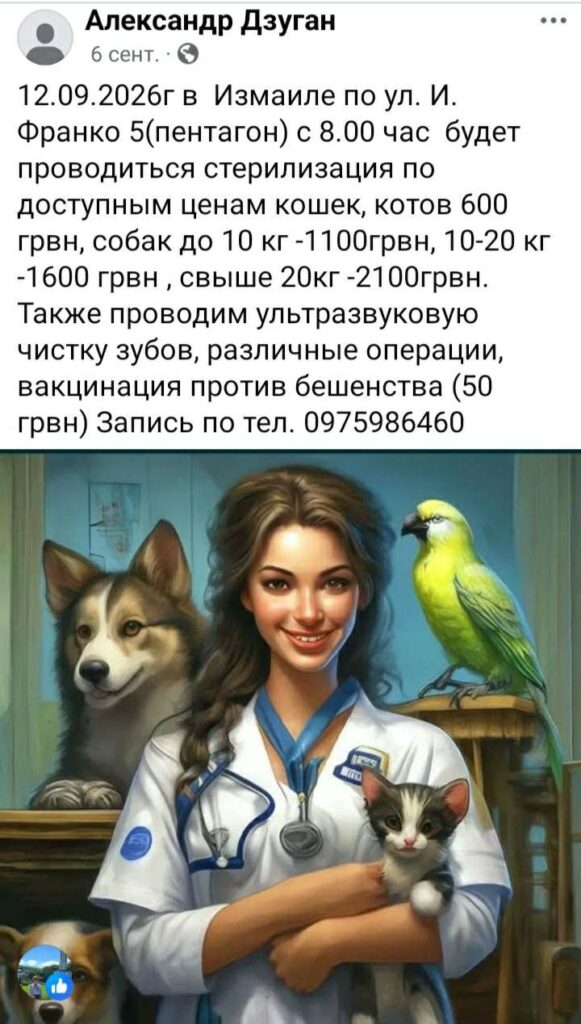 «Величезний шматок тканини був зашитий всередині»: в Ізмаїлі після стерилізації померла собака