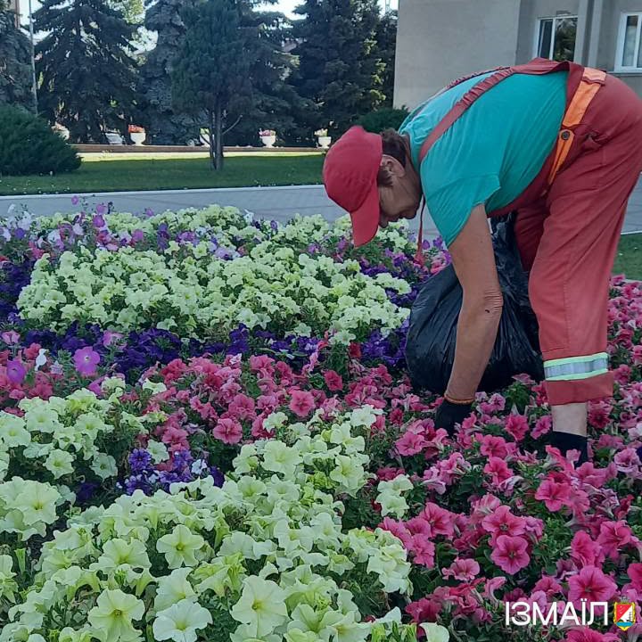 «Садити сьогодні, щоб жити завтра»: як Надія Булгакова понад чверть століття створює квітковий одяг Ізмаїла