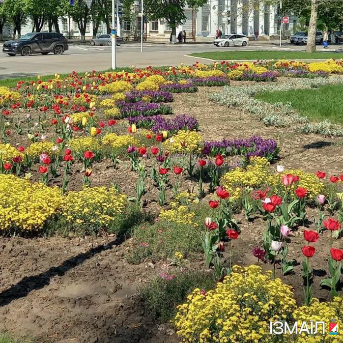 «Садити сьогодні, щоб жити завтра»: як Надія Булгакова понад чверть століття створює квітковий одяг Ізмаїла