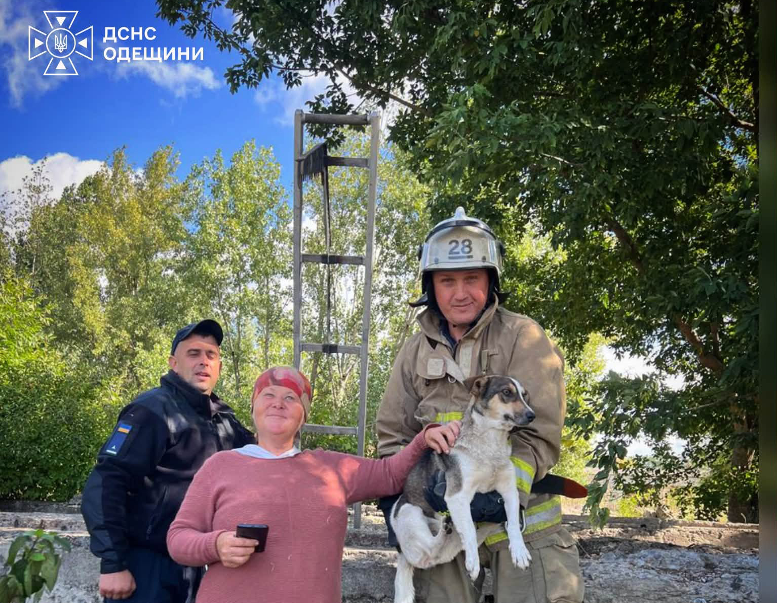 Рятувальники Одещини визволили песика з бетонної пастки