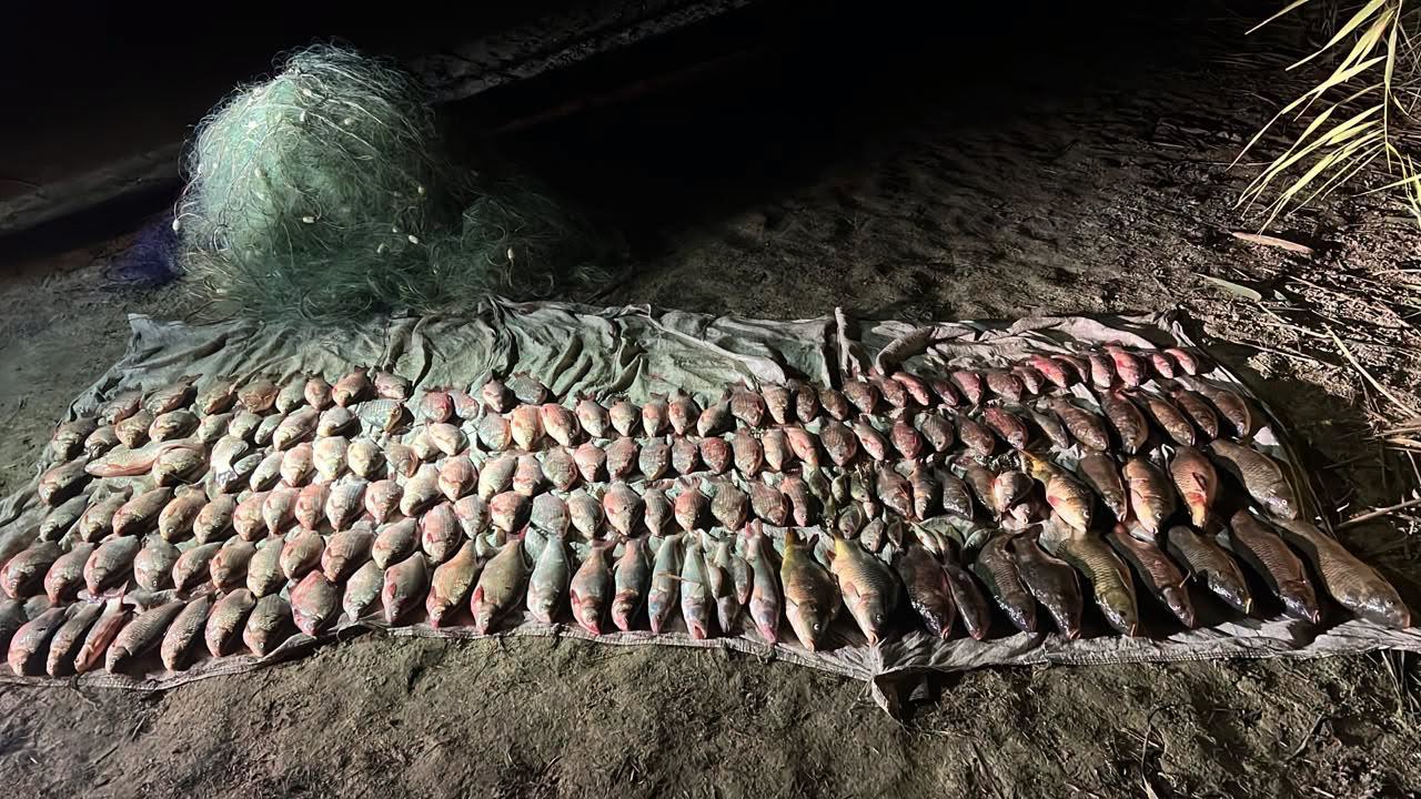 На озері Ялпуг ізмаїльські прикордонники затримали браконьєра із виловом на 400 тисяч гривень