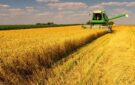 Найвищий показник в історії області: на Одещині намолотили понад 5 мільйонів тонн зерна