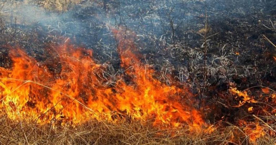 У Молдові поблизу ПП “Старокозаче-Тудора” вночі пролунав вибув – на місці вигоріло поле та знайдено уламки