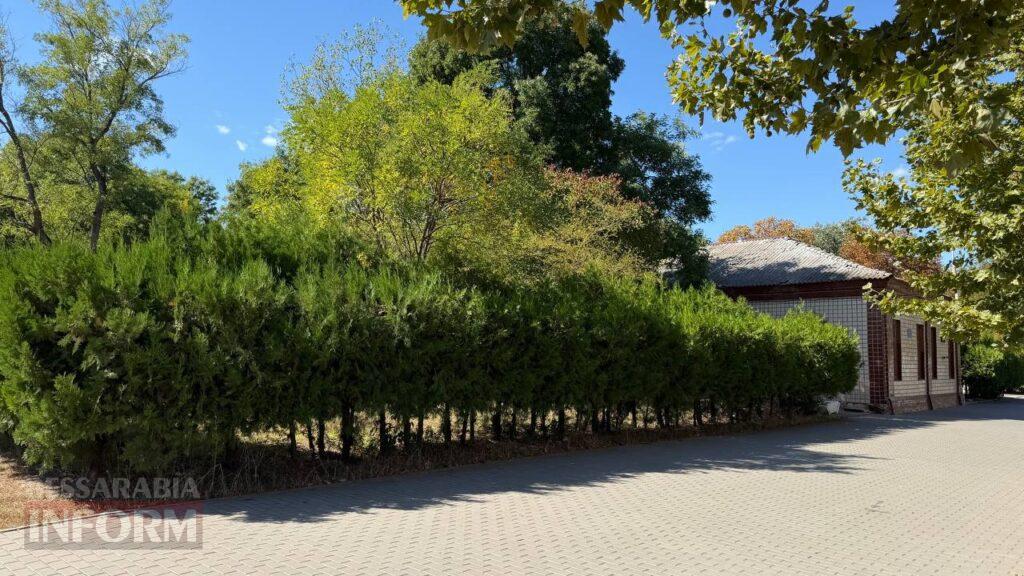 У Кілії визначилися з місцем перенесення Алеї Пам’яті: остаточне слово – за громадськістю
