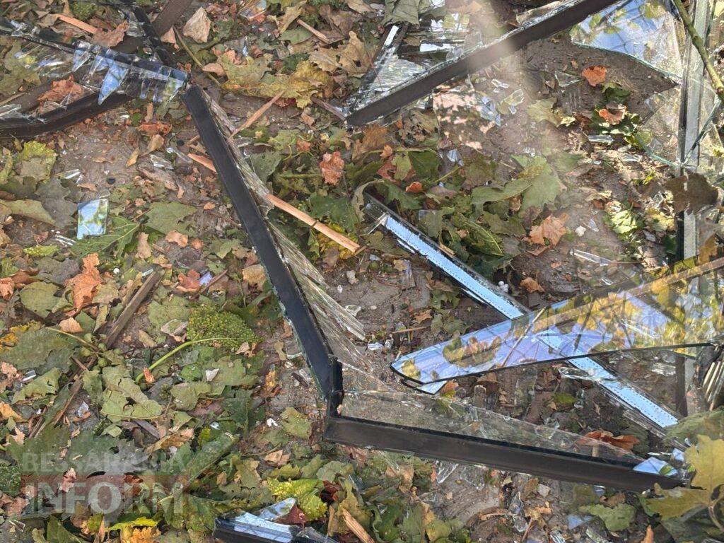 Оглушлива тиша і порятунок із собакою: мешканка Ізмаїла розповіла про пережитий удар «шахеда»