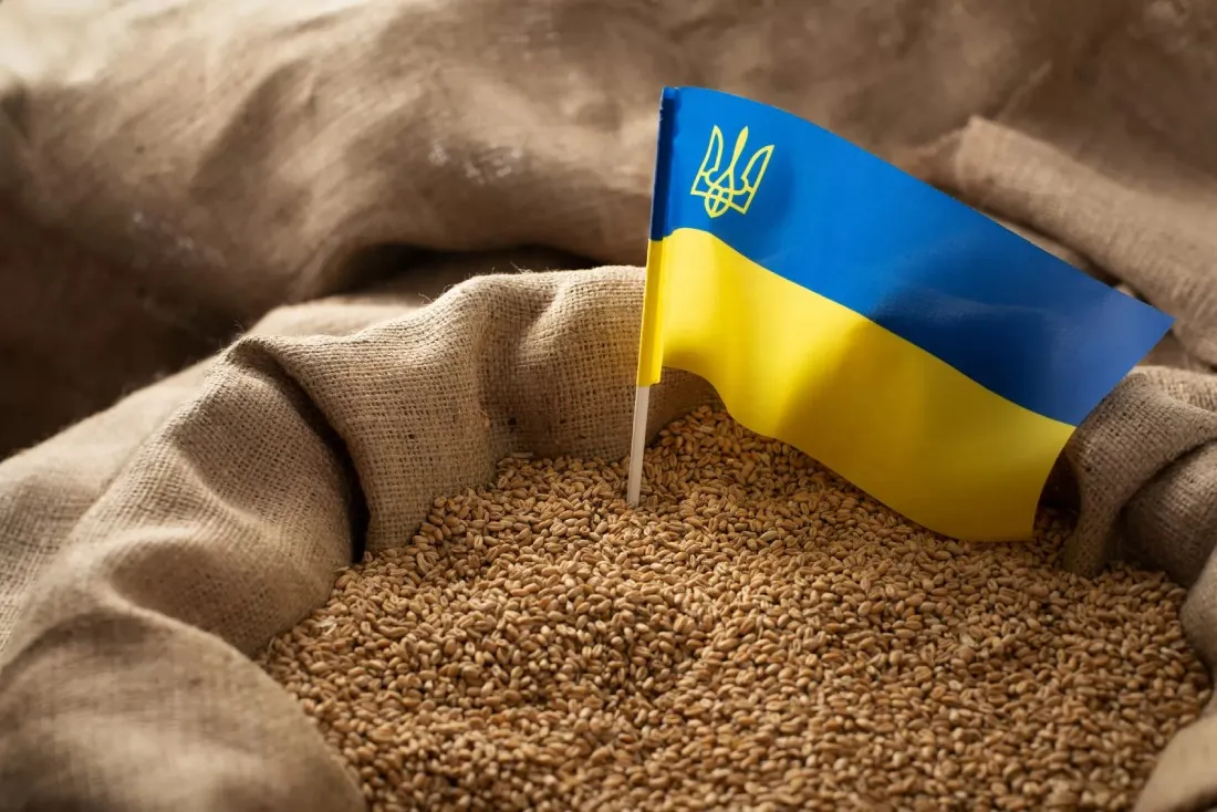 Молдовські фермери анонсують протести через імпорт зерна з України