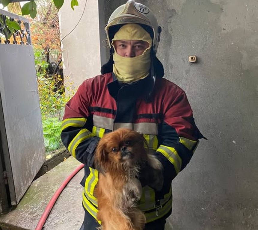 У Сараті під час пожежі у будинку рятувальники винесли з полум’я домашнього улюбленця