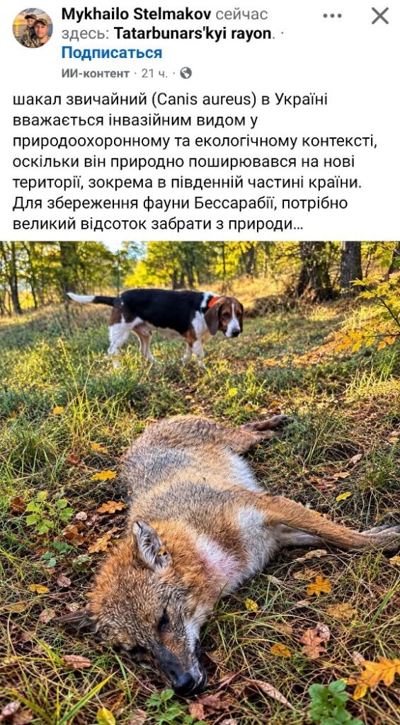 Відстріл може зробити тільки гірше: що не так із дозволом на полювання у Бессарабії
